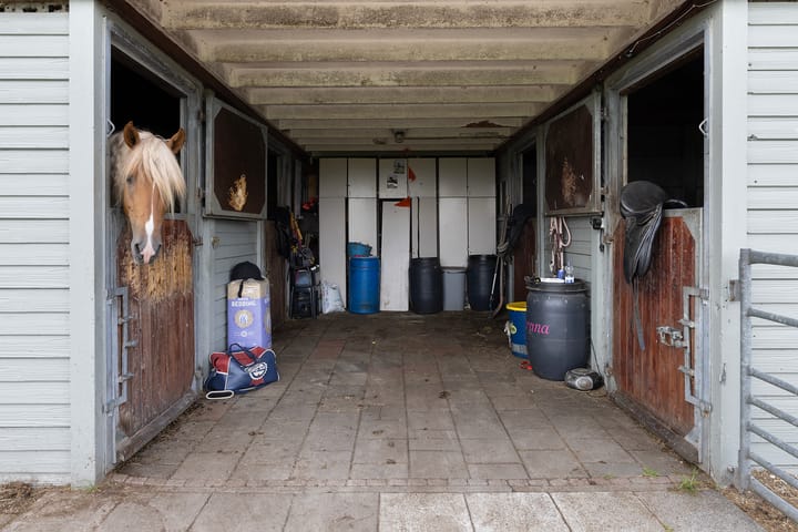 Photo 45 of Kooijdijk 5