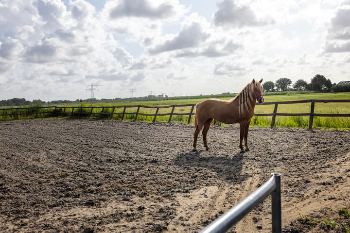 Photo 46 of Kooijdijk 5