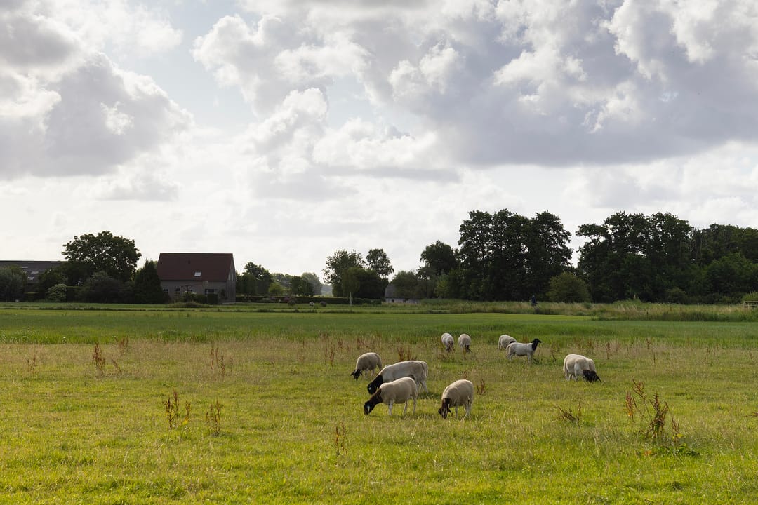 Photo 47 of Kooijdijk 5