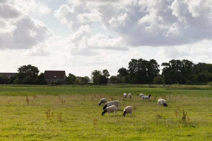 Photo 47 of Kooijdijk 5