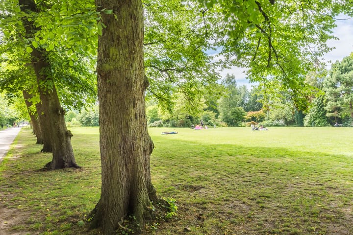 Foto 28 van Middenweg 109-3