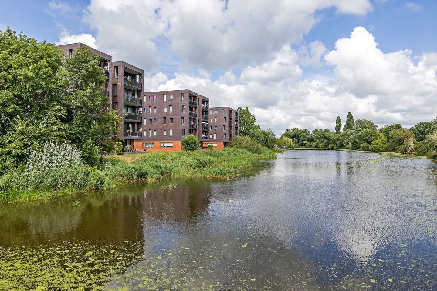 Foto 1 van De Wiekslag 3-403