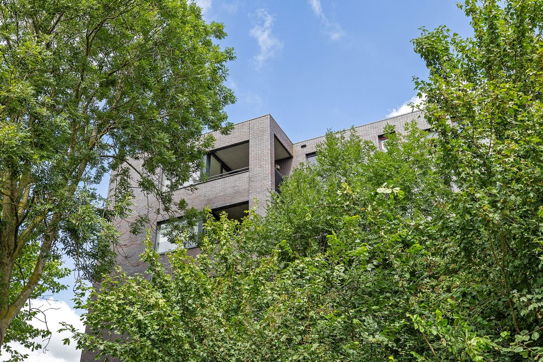 Foto 37 van De Wiekslag 3-403