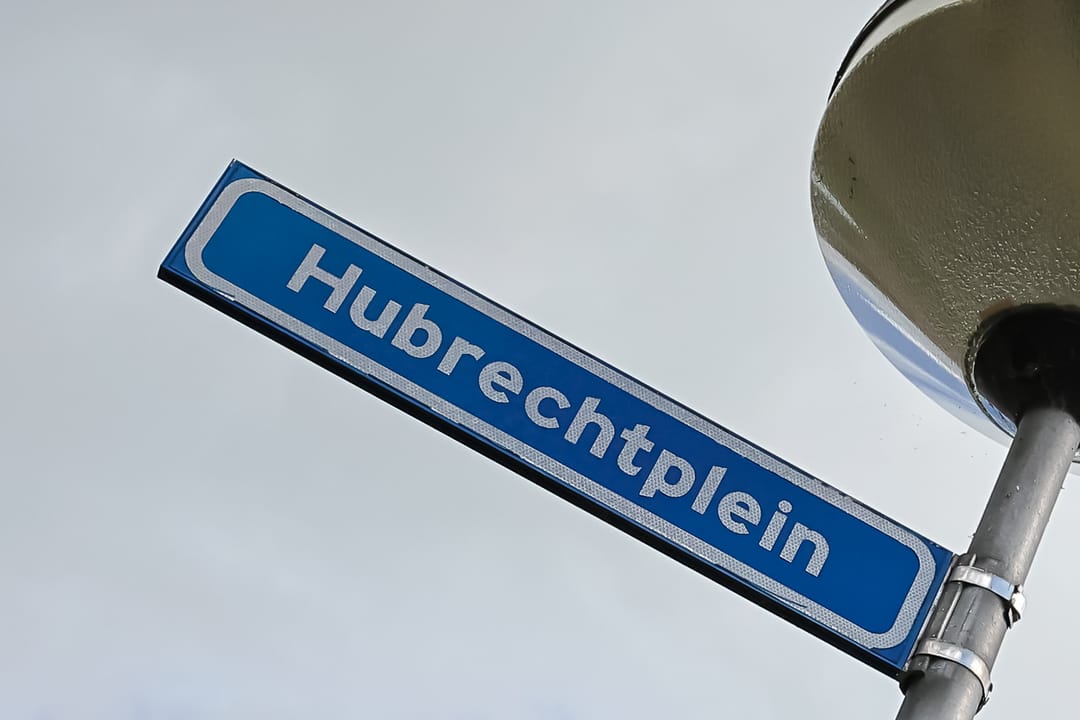 Foto 7 van Hubrechtplein 3