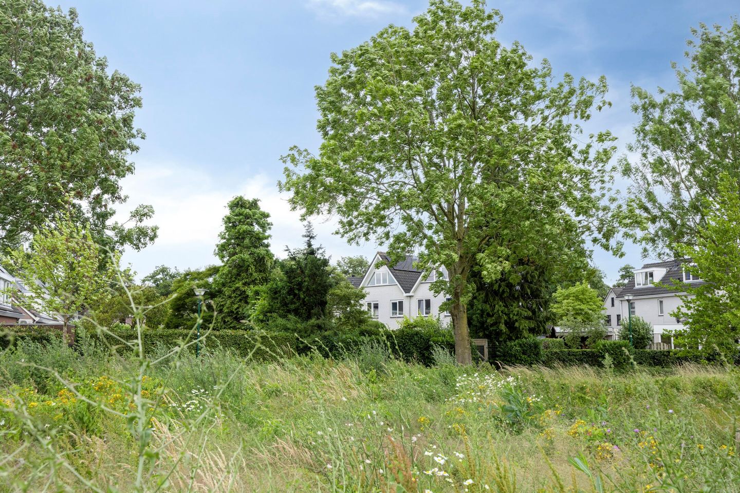 Foto 59 van Smetanadreef 35
