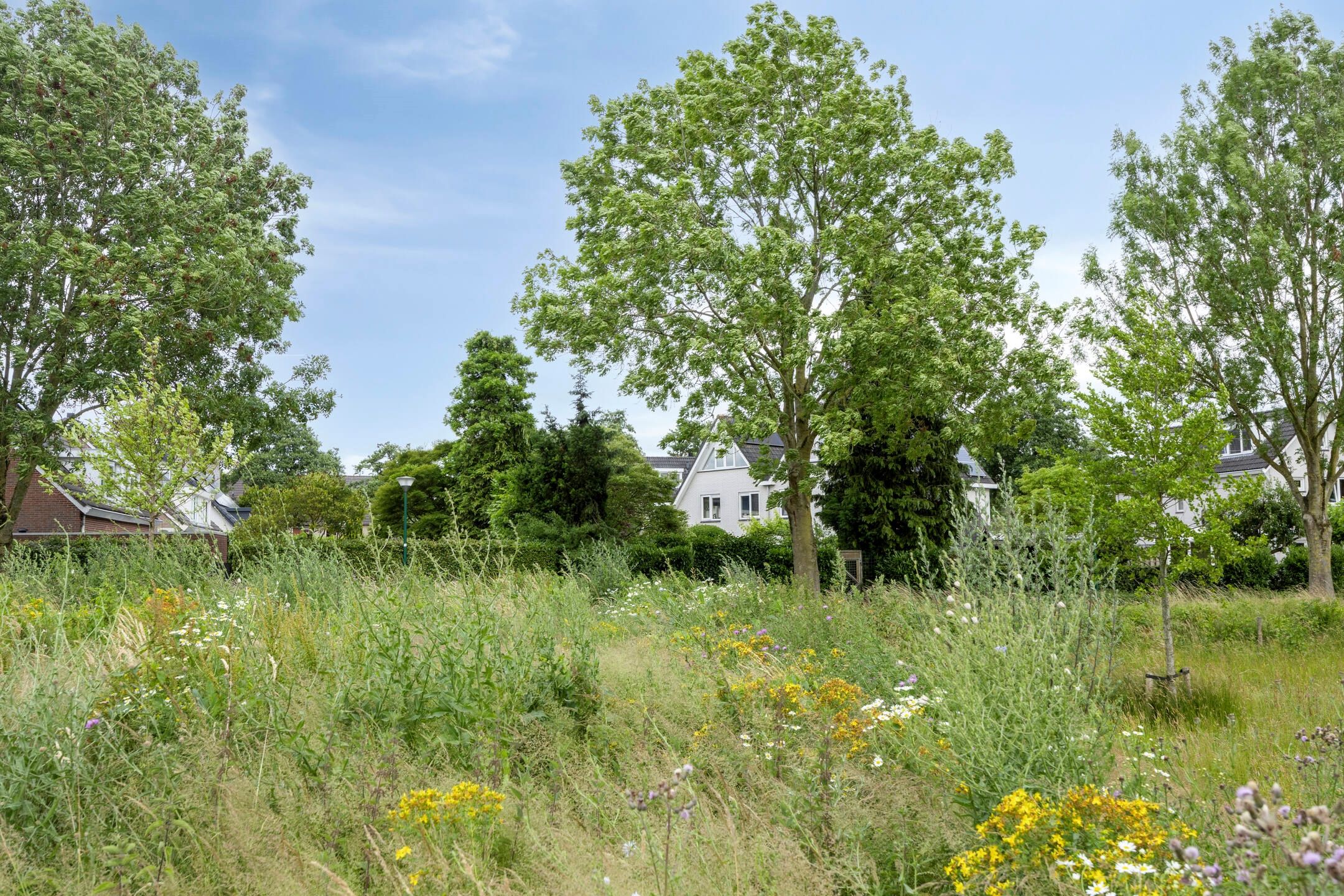 Foto 60 van Smetanadreef 35