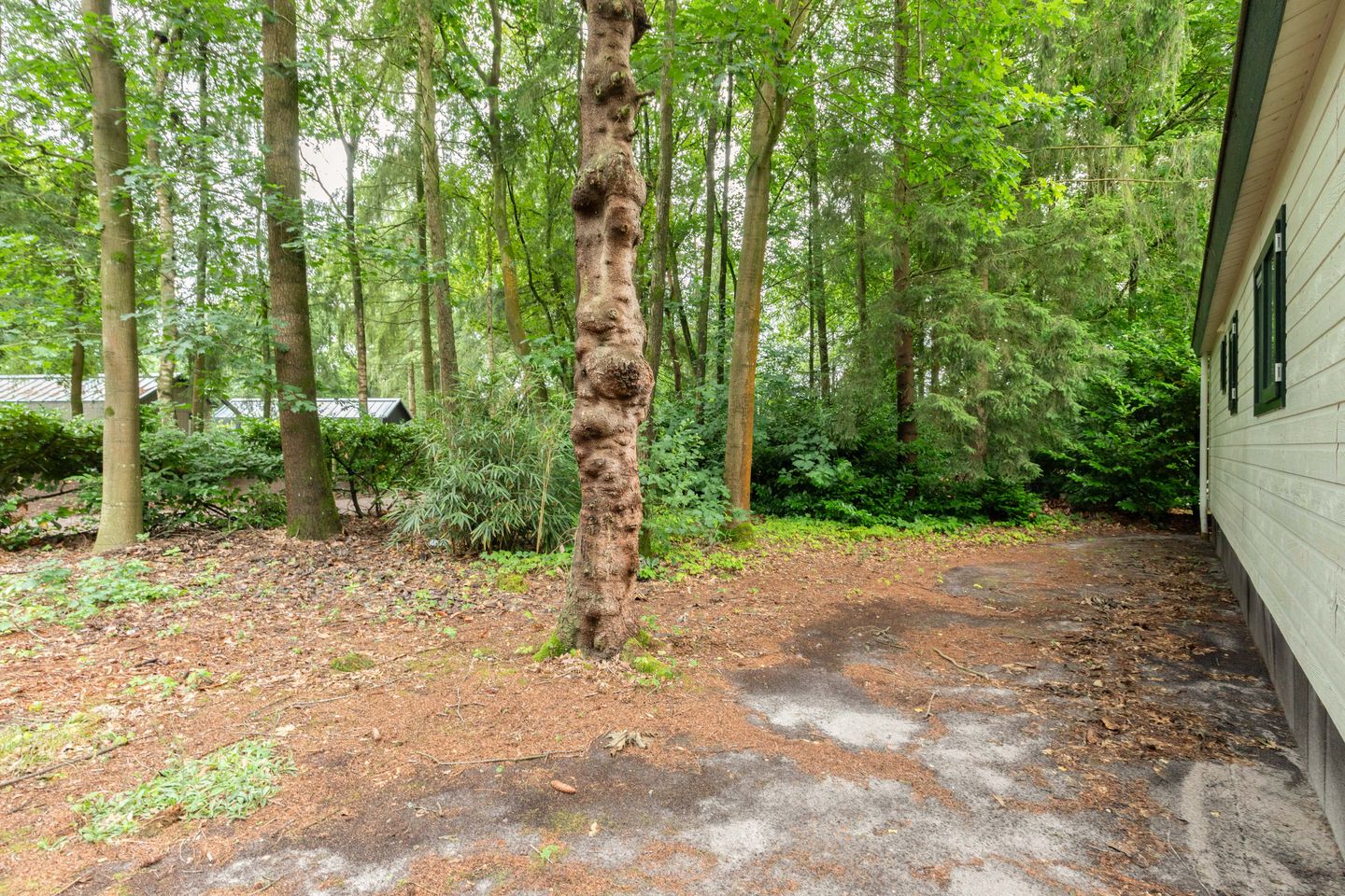 Photo 20 of Veldkampweg 2-150