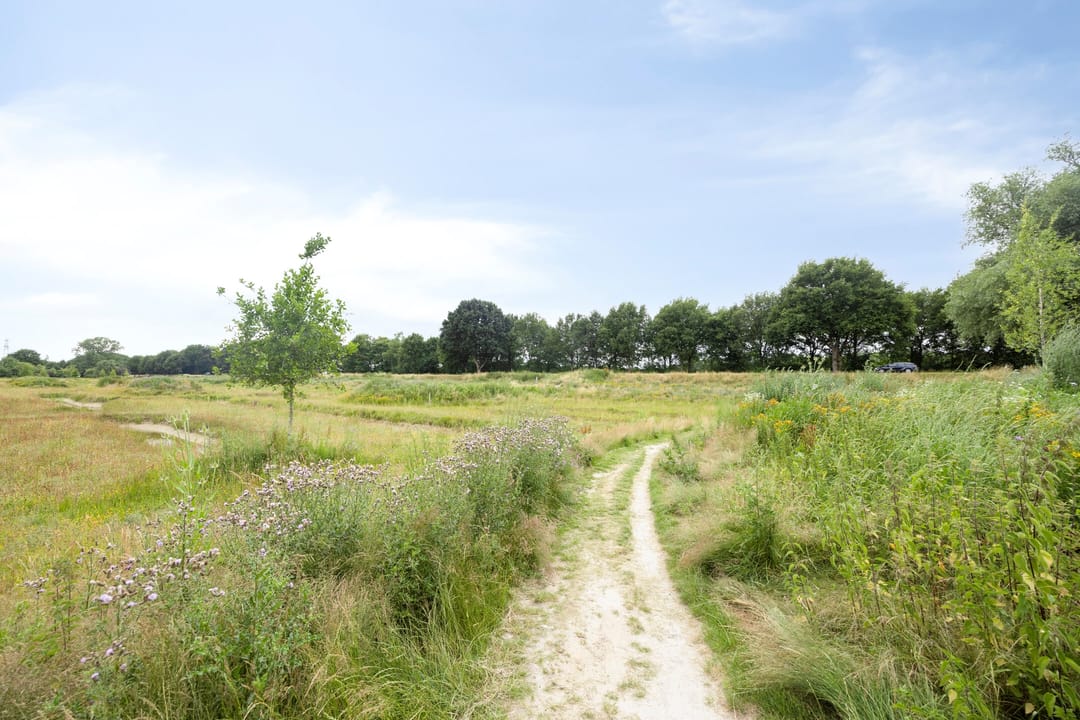 Foto 62 van Smetanadreef 35