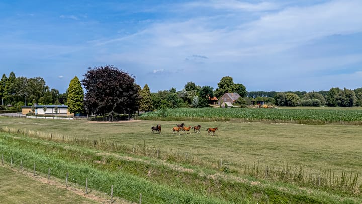 Photo 4 of Burgemeester Cremersplein 6