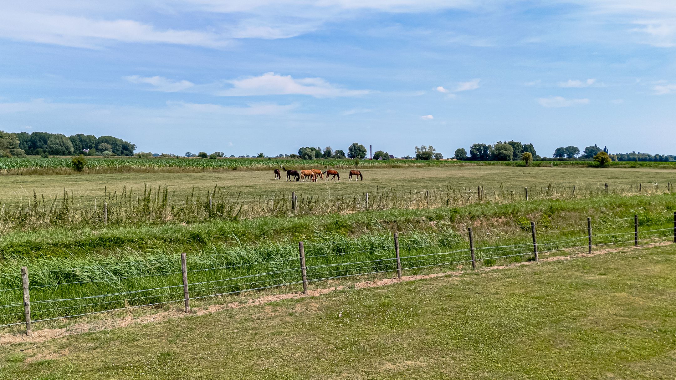 Foto 51 van Burgemeester Cremersplein 6