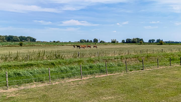 Foto 51 van Burgemeester Cremersplein 6