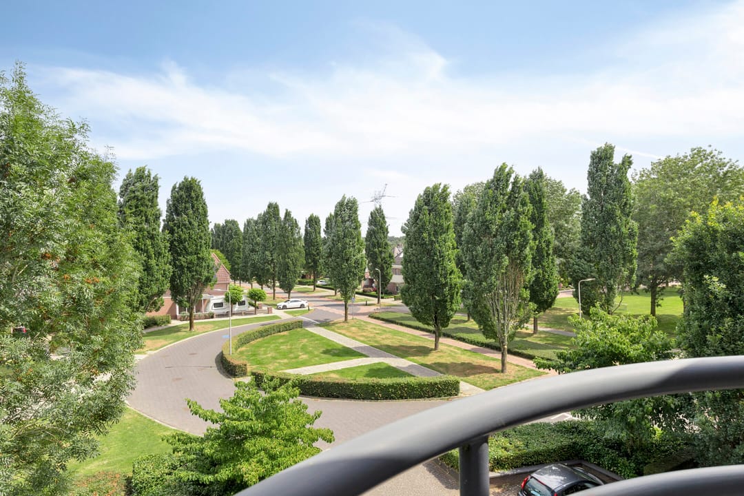 Foto 16 van Schering 59