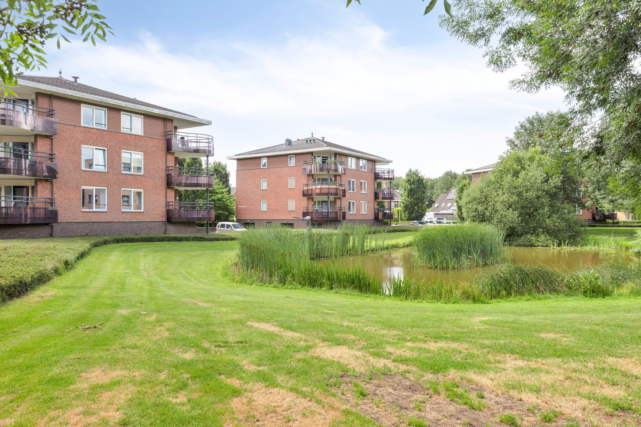 Foto 24 van Schering 59