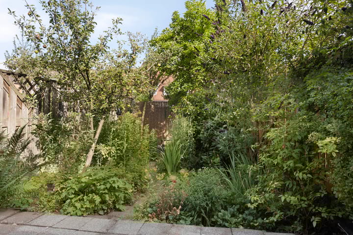 Foto 5 van Kringdans 13