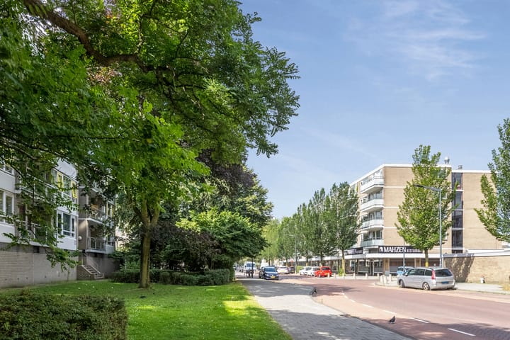 Foto 19 van Madridplantsoen 115