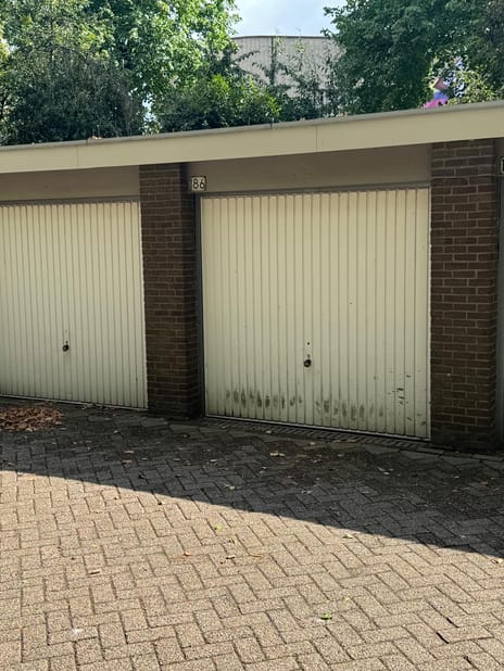 undefined main image