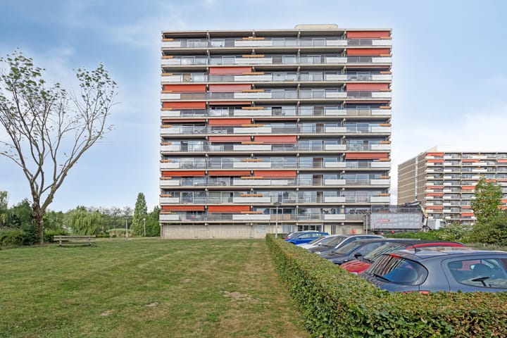 Aalscholversingel 260