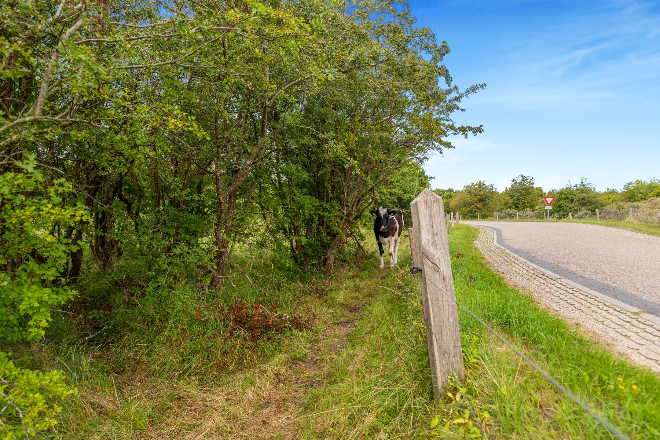 Foto 54 van Vennewatersweg 10