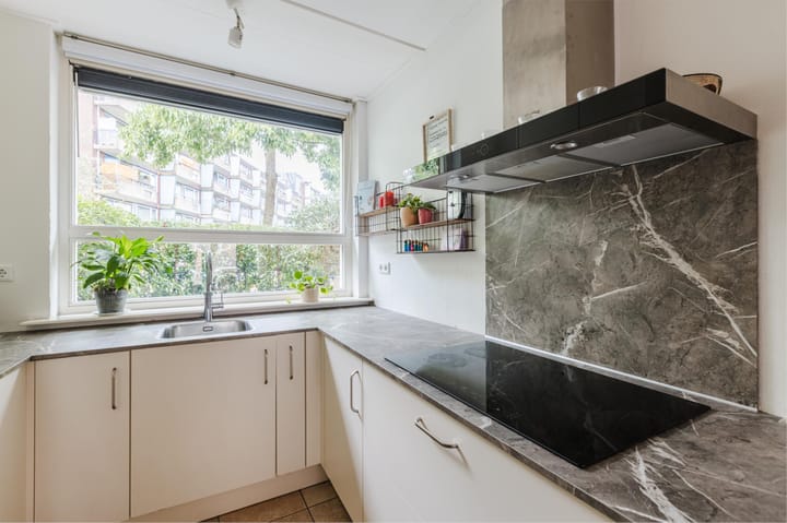 Foto 10 van Moerasslak 25