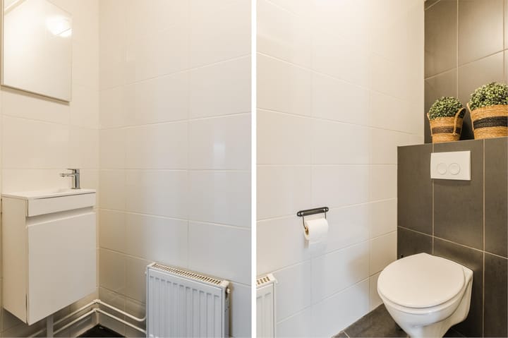 Foto 16 van Moerasslak 25