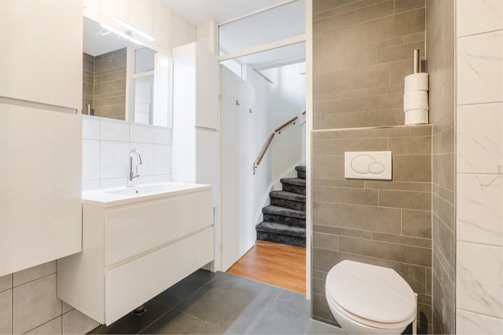 Foto 24 van Moerasslak 25