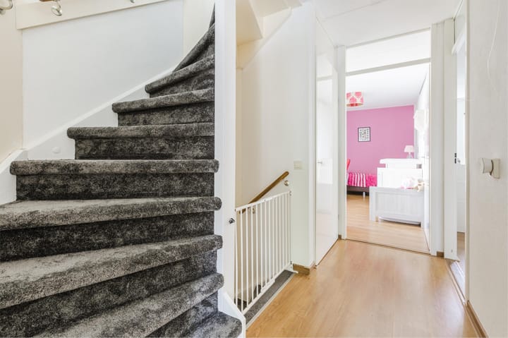 Foto 27 van Moerasslak 25