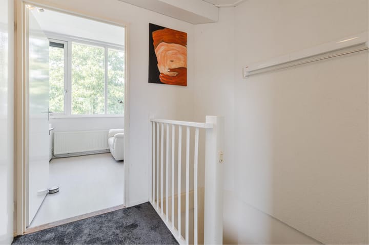 Foto 32 van Moerasslak 25