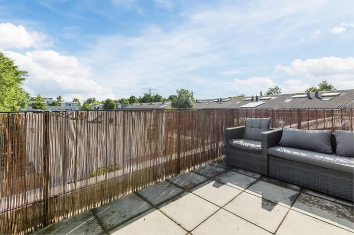 Foto 34 van Moerasslak 25