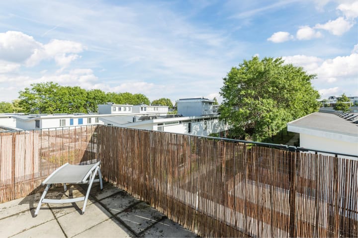 Foto 35 van Moerasslak 25