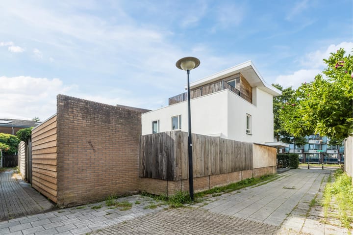 Foto 39 van Moerasslak 25