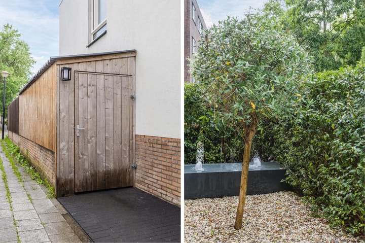 Foto 41 van Moerasslak 25