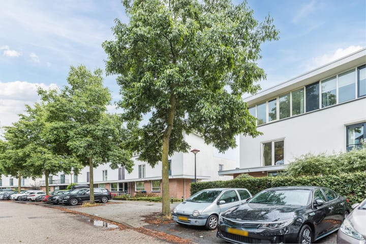 Foto 42 van Moerasslak 25