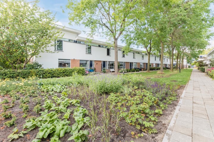 Foto 43 van Moerasslak 25