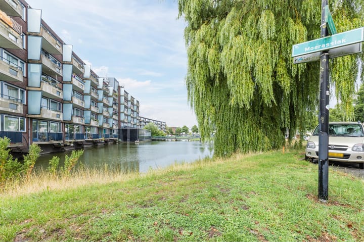 Foto 44 van Moerasslak 25