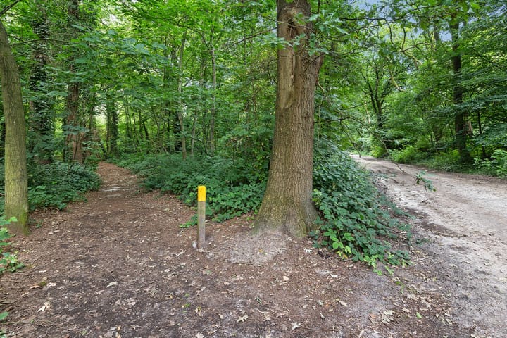 Photo 38 of Steenbakkersweg 7-310