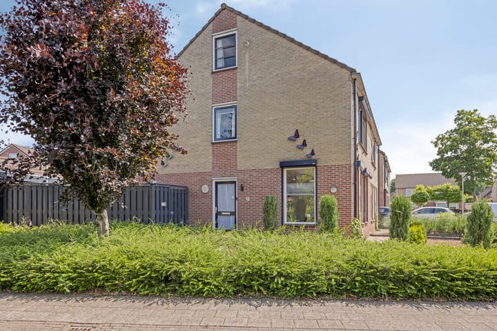 Foto 7 van Speltakker 9