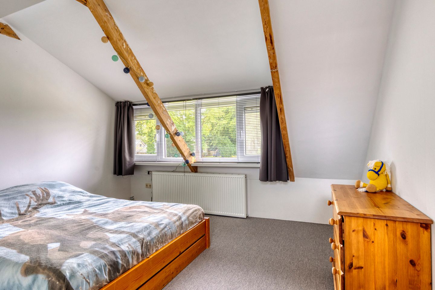 Foto 25 van Schoterlandseweg 42