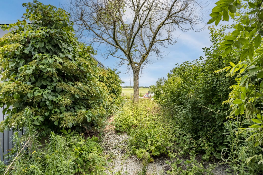 Foto 31 van Meije 50