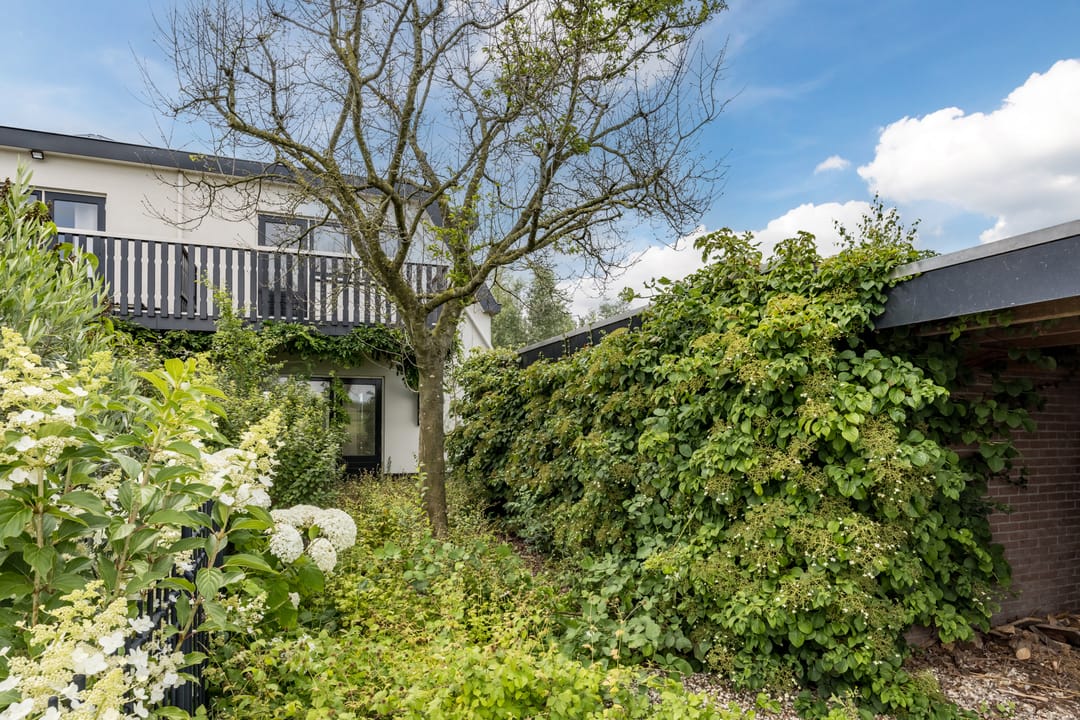 Foto 32 van Meije 50