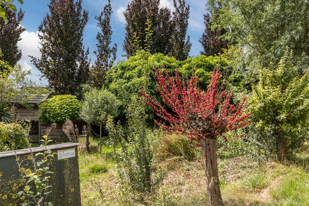 Foto 38 van Meije 50