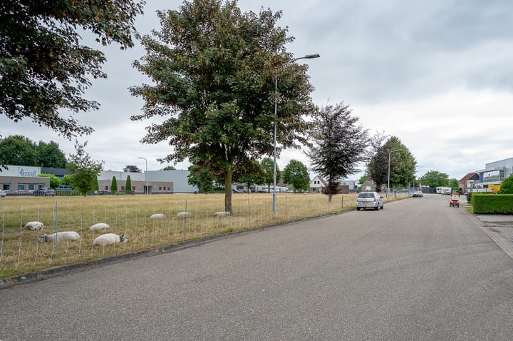 Photo 44 of Dambroek 31