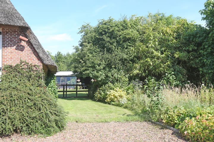 Foto 5 van Foarwei 6