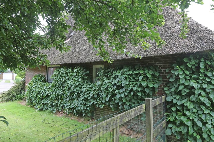 Foto 40 van Foarwei 6