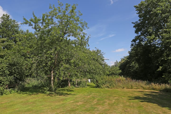 Foto 48 van Foarwei 6