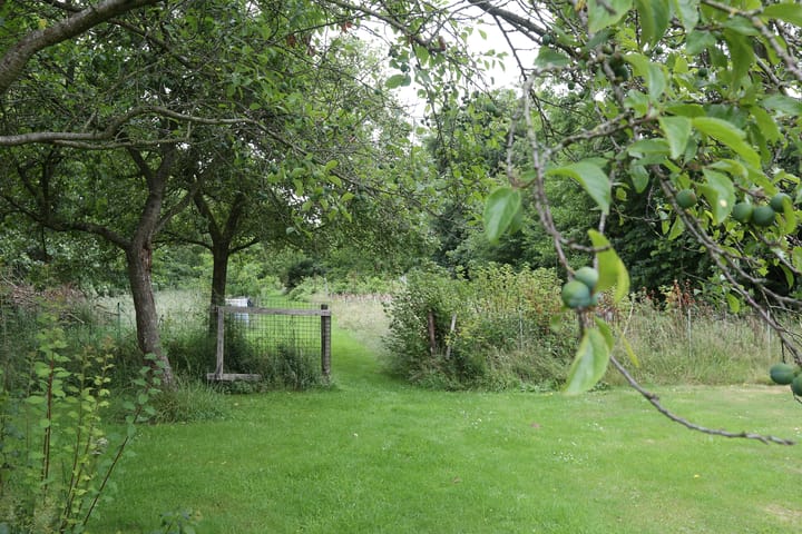 Foto 49 van Foarwei 6