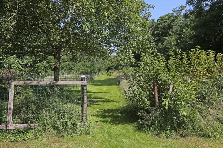 Foto 50 van Foarwei 6