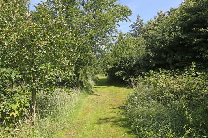 Foto 52 van Foarwei 6