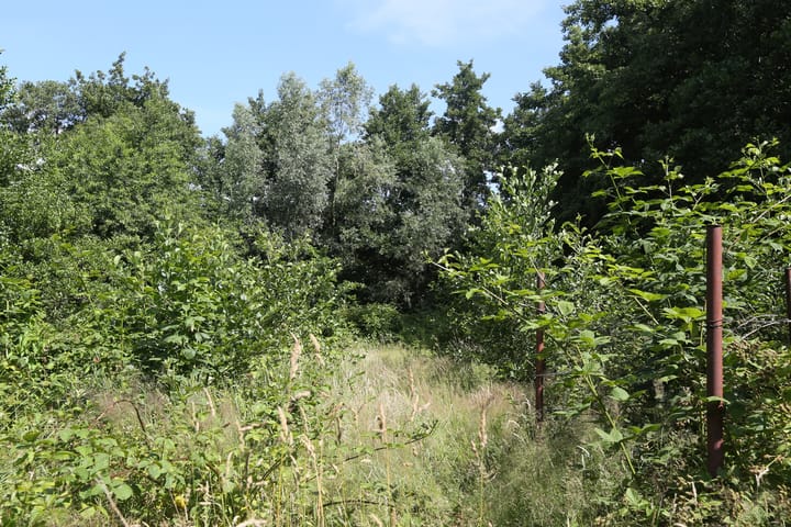 Foto 53 van Foarwei 6