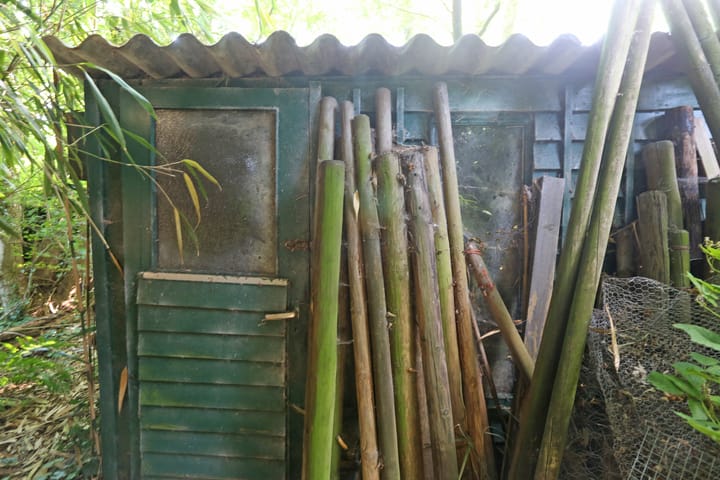 Foto 54 van Foarwei 6