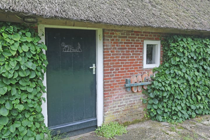 Foto 58 van Foarwei 6